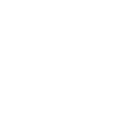 Flower image