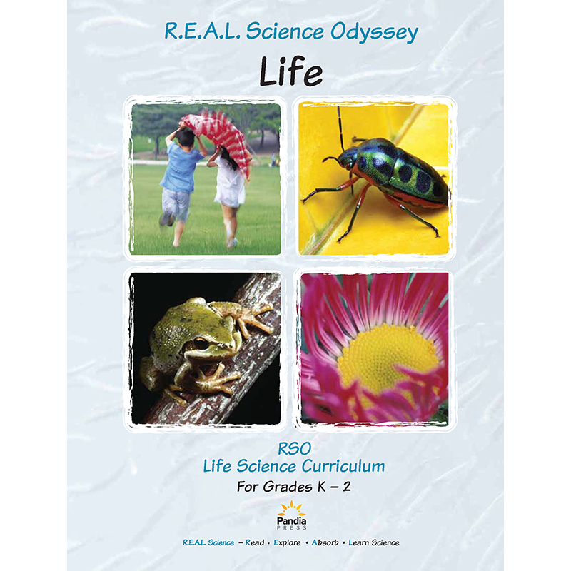 a close-up of a brochure