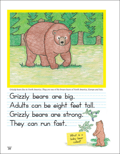 Rainbow Resource - Draw. Write. Now. Book 7 ( Manuscript) - Image 3