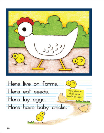 Rainbow Resource - Draw. Write. Now Book 1 (Manuscript) - Image 3