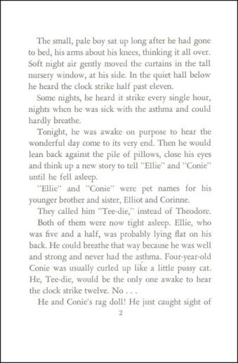 Beautiful Feet - Theodore Roosevelt (Foster) - Image 4