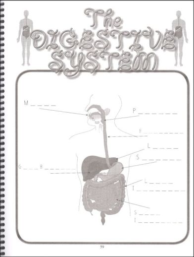 Apologia - Exploring Creation With Anatomy ( Notebooking Journal) - Image 5