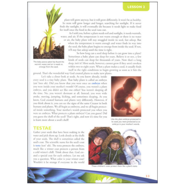 Explore The Botany Bundle Perfect For Plant Enthusiasts