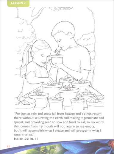 Apologia - Exploring Creation With Botany (Notebooking Journal) - Image 3
