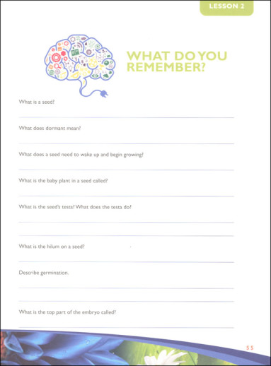 Apologia - Exploring Creation With Botany (Notebooking Journal) - Image 4