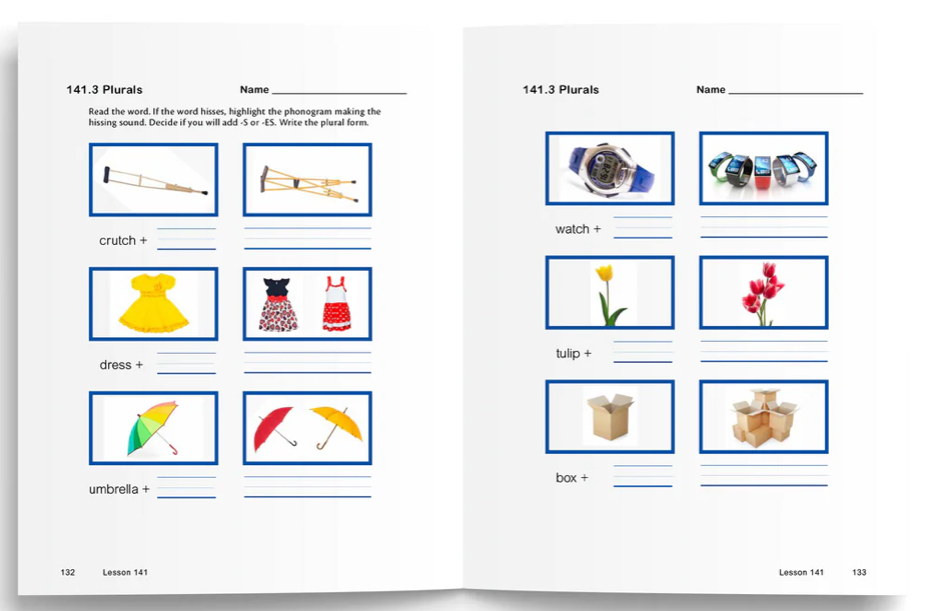 Logic Of English - Foundations D (Student Workbook) - Image 2