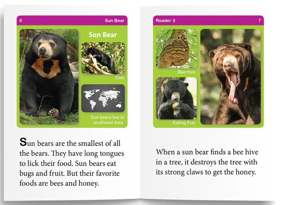 Logic Of English - Foundations D (Readers) - Image 2