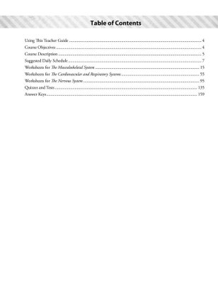 MasterBooks - Introduction To Anatomy & Physiology (Teacher Guide 1) - Image 2