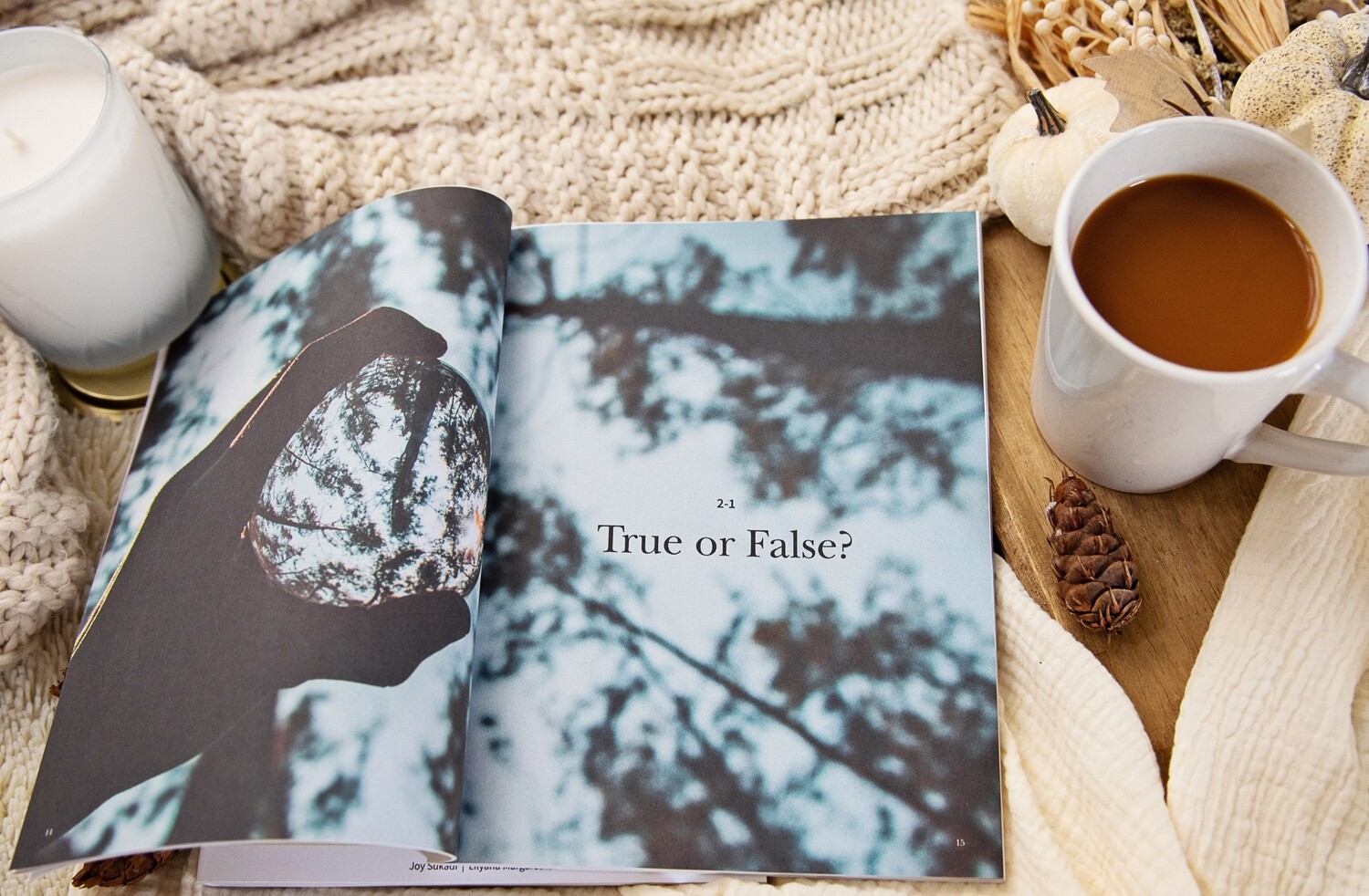 Bible Comes To Life - The Fall (Book 2) - Image 2