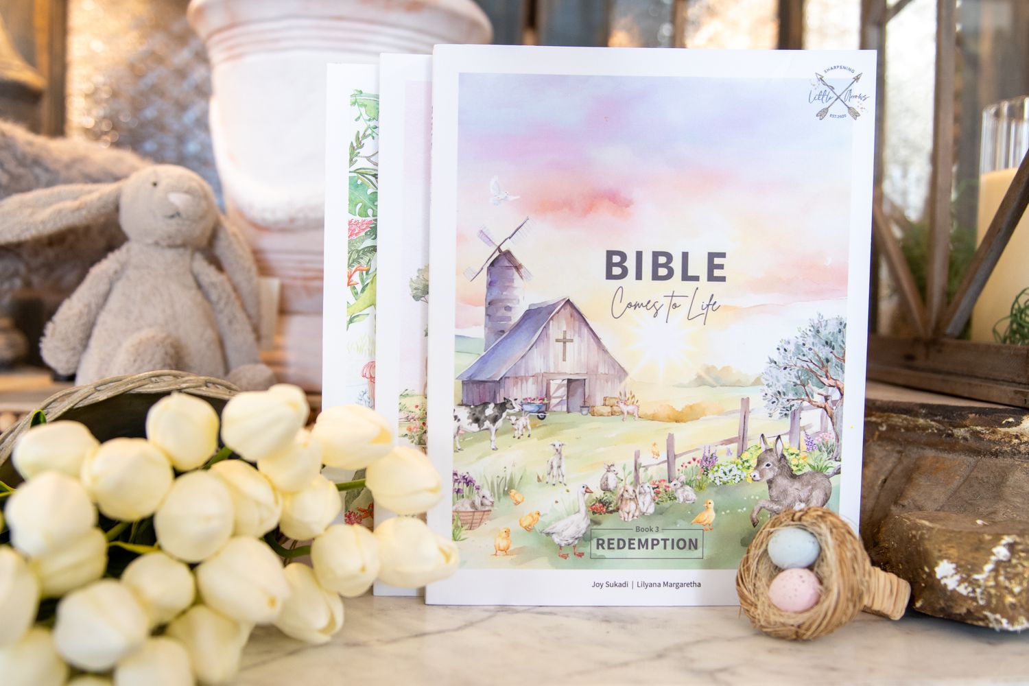 Bible Comes To Life - Redemption (Book 3)