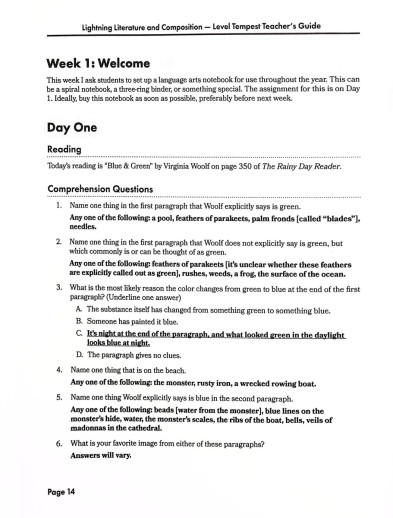 Lightning Literature - Lightning Literature & Composition Level Tempest (Teacher Guide) - Image 5