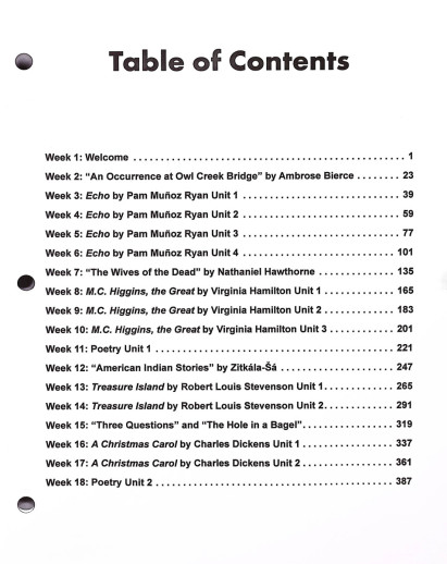 Lightning Literature - Lightning Literature & Composition Level Tempest (Student Workbook Volume 1) - Image 2