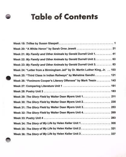 Lightning Literature - Lightning Literature & Composition Level Tempest (Student Workbook Volume 2) - Image 2
