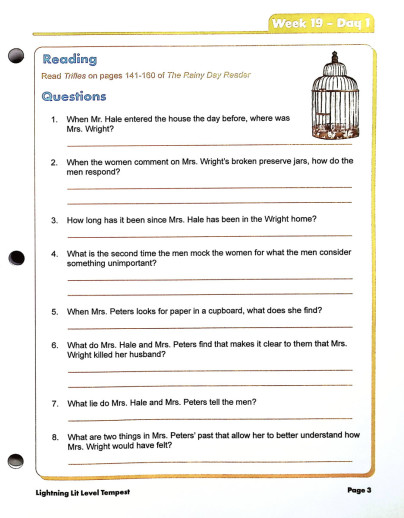 Lightning Literature - Lightning Literature & Composition Level Tempest (Student Workbook Volume 2) - Image 4
