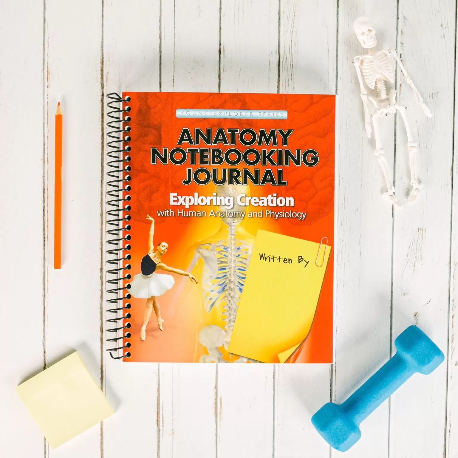 Apologia - Exploring Creation With Anatomy ( Notebooking Journal)