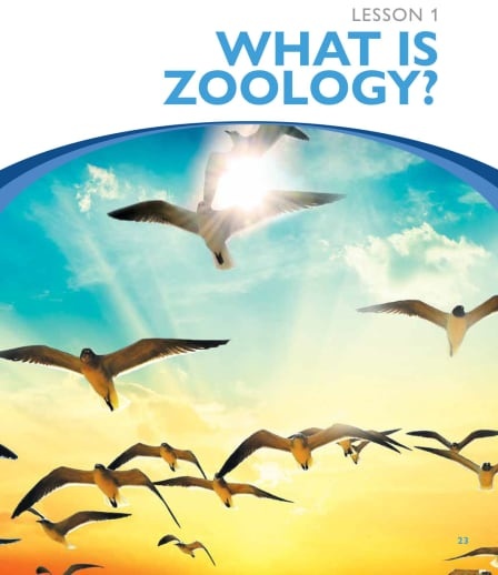 Apologia - Exploring Creation With Zoology 1 (Notebooking Journal) 2nd Edition - Image 2