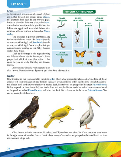 Apologia - Exploring Creation With Zoology 1 (Textbook) 2nd Edition - Image 5