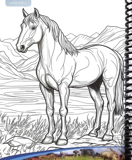 Apologia - Exploring Creation With Zoology 3 Land Animals Of The Sixth Day (Notebooking Journal) 2nd Edition - Image 2
