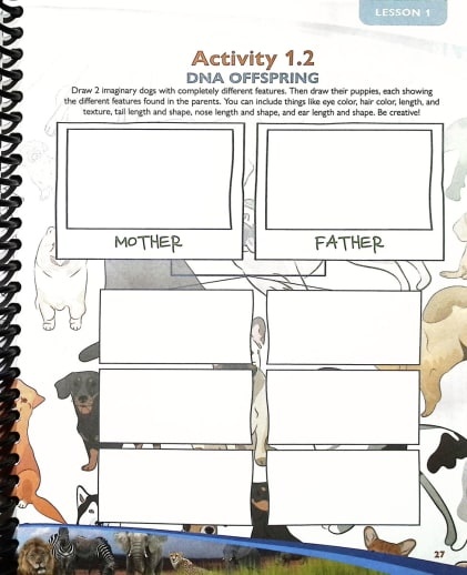 Apologia - Exploring Creation With Zoology 3 Land Animals Of The Sixth Day (Notebooking Journal) 2nd Edition - Image 4