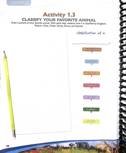 Apologia - Exploring Creation With Zoology 3 Land Animals Of The Sixth Day (Notebooking Journal) 2nd Edition - Image 6